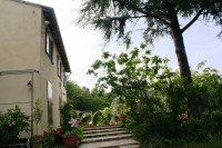 /album/i-fiori-di-casa-acquarella/a2-img-8550-r-jpg/